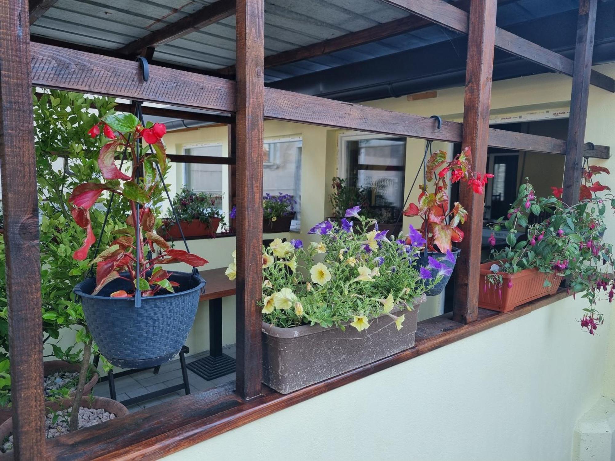 Apartments Fazarinc S Parkiriscem تْسيلْيي المظهر الخارجي الصورة