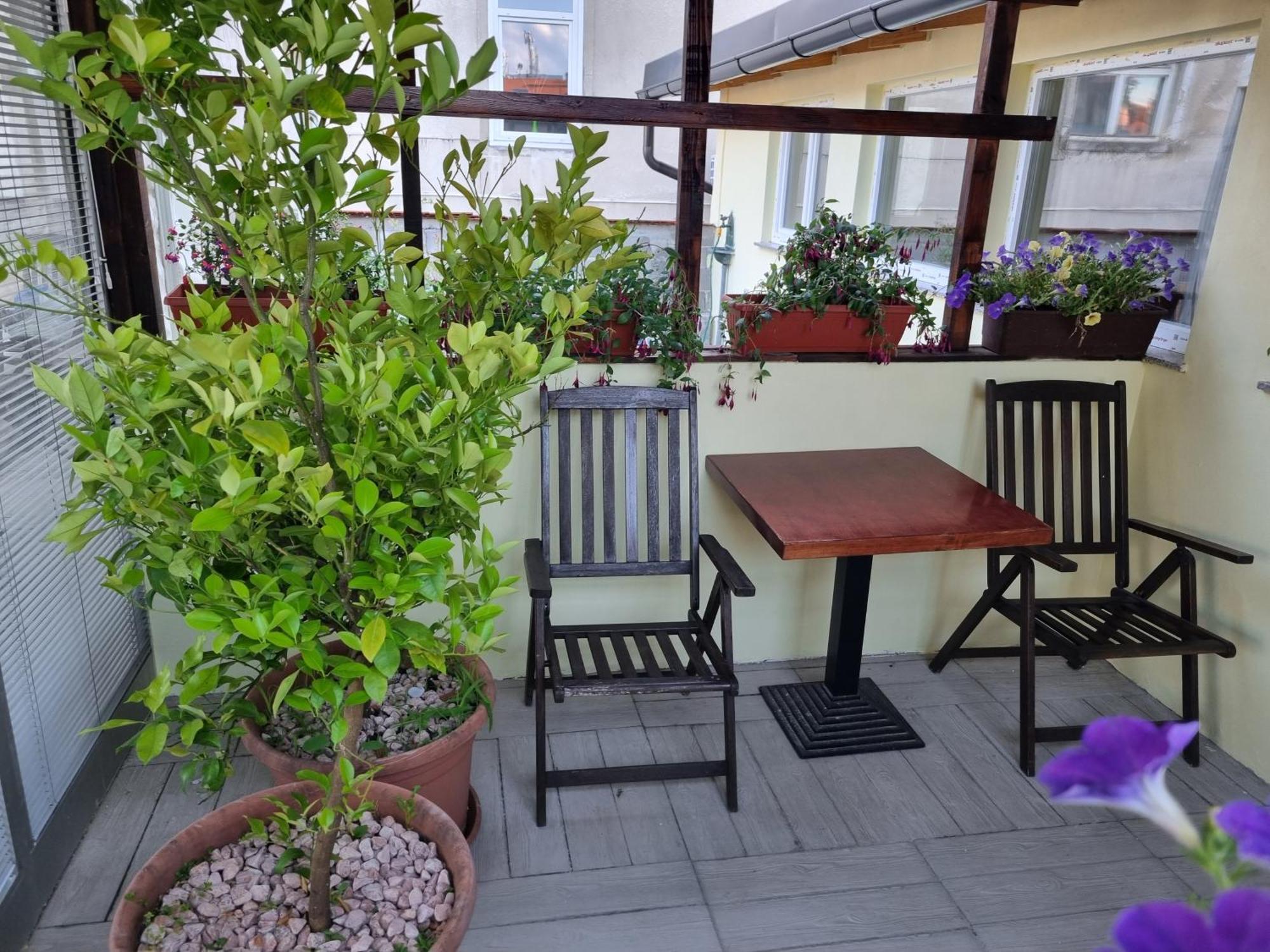 Apartments Fazarinc S Parkiriscem تْسيلْيي المظهر الخارجي الصورة