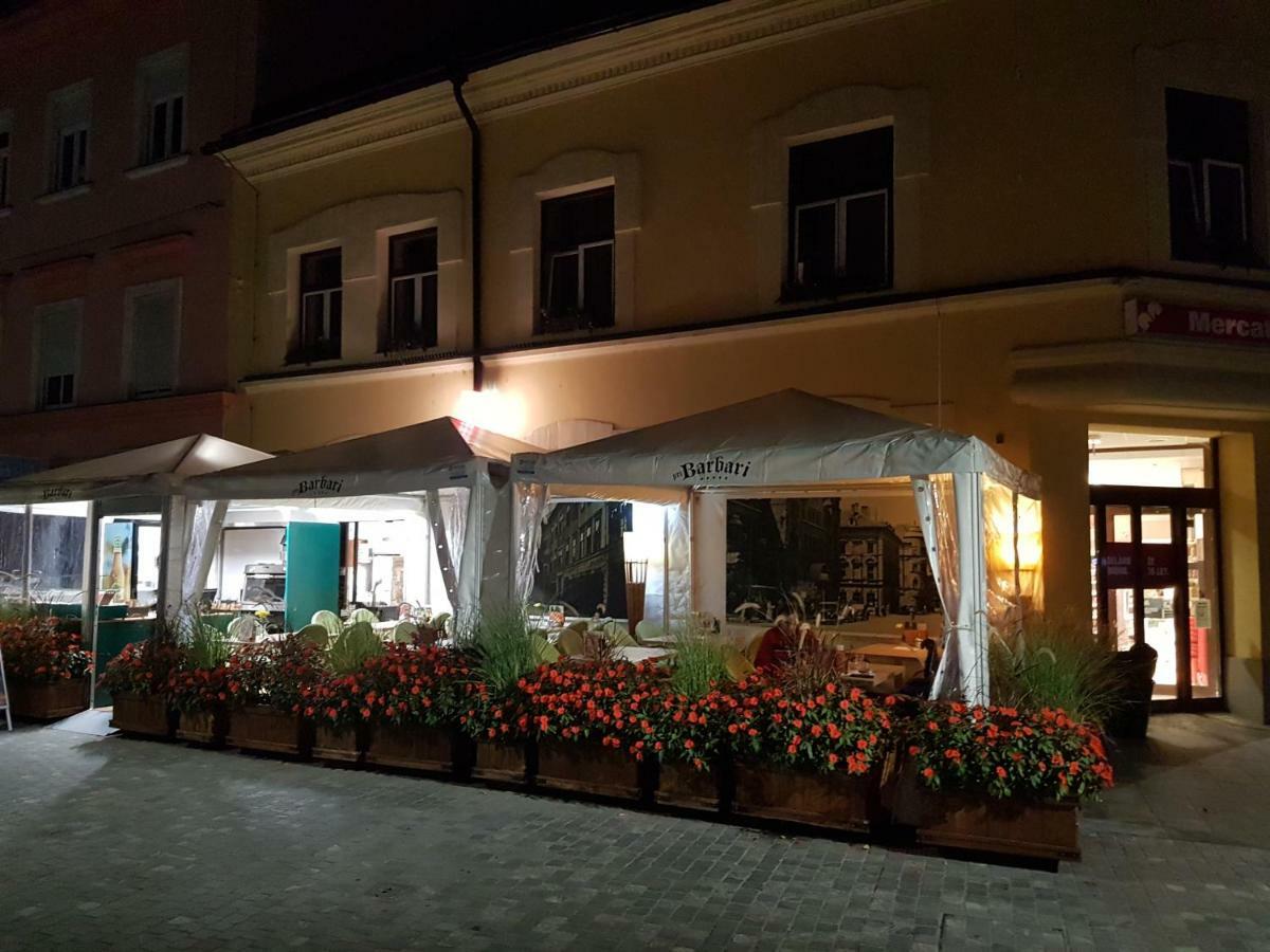 Apartments Fazarinc S Parkiriscem تْسيلْيي المظهر الخارجي الصورة